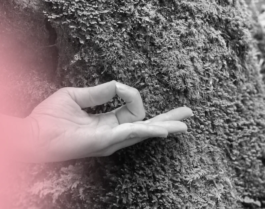 Lena Groß - Yoga & more...